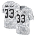 GB.Packers #33 Evan Williams Player Arctic Camo Salute To Service Limited Gdoa Stitched Jerseys