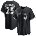 T.Blue Jays #25 Anthony Santander Player Black City Connect Limited Fdoa Stitched Jerseys