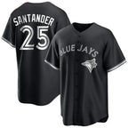 T.Blue Jays #25 Anthony Santander Player Black City Connect Limited Fdoa Stitched Jerseys