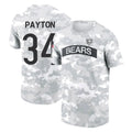 C.Bears #34 Walter Payton Player Arctic Camo Salute to Service Performance T-Shirt Limited Gdoa Stitched Jerseys