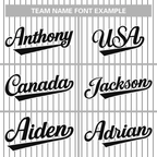 Custom Pinstripe Baseball Jersey Button Down Shirt Personalized for AdultsYouth