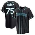 S.Mariners #75 Andres Munoz Player Black Fashion Home Limited Fdoa Stitched Jerseys