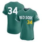 B.Red Sox #34 David Ortiz Player Green City Connect Limited Elite Home Game Gdoa Stitched Jerseys