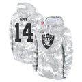 LV.Raiders #14 Matt Gay Player Arctic Camo Salute to Service Hoodies Limited Game Gdoa Stitched Jerseys
