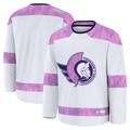 Gdoa O.Senators White 2024 Hockey Fights Cancer Practice Jerseys