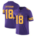 M.Vikings #18 Justin Jefferson Player Purple Limited Color Rush Home Game Gdoa Stitched Jerseys