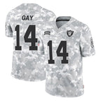 LV.Raiders #14 Matt Gay Player Arctic Camo Salute To Service Limited Game Gdoa Stitched Jerseys