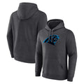 C.Panthers ## Panthers Blank Player Gray Salute to Service Pullover Hoodies Gdoa Stitched Jerseys