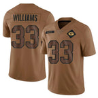 GB.Packers #33 Evan Williams Player Brown Salute To Service Limited Gdoa Stitched Jerseys