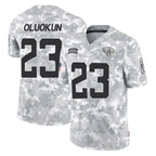 J.Jaguars #23 Foyesade Oluokun Player Arctic Camo Salute To Service Limited Game Gdoa Stitched Jerseys